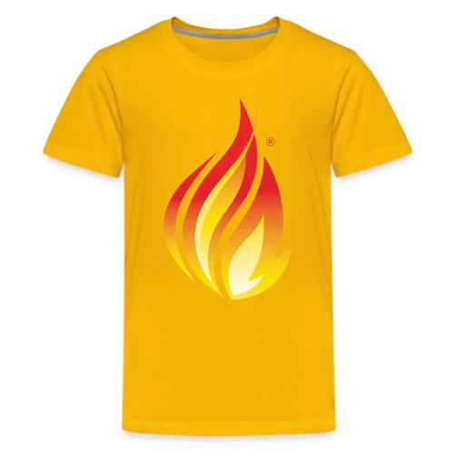 HL7 FHIR Flame Logo - Kids' Premium T-Shirt