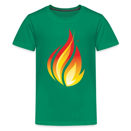 HL7 FHIR Flame Logo - Kids' Premium T-Shirt