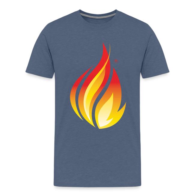 HL7 FHIR Flame Logo