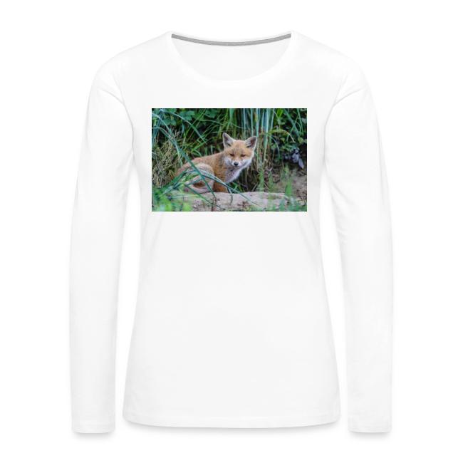 fox