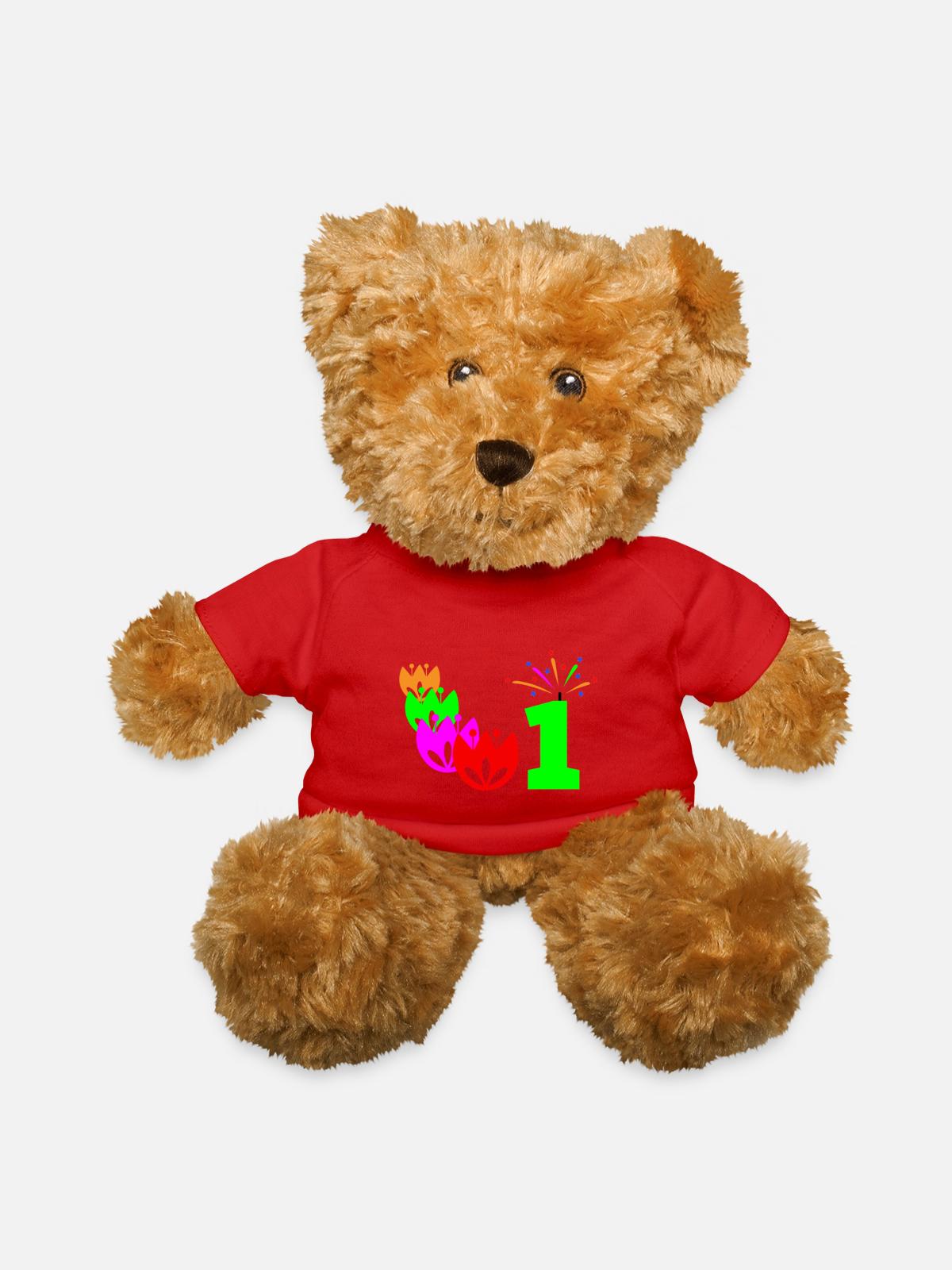 1st day birthday - Teddy Bear - red - Front