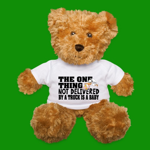 The One Thing Not Delivered By a Truck - Teddy Bear