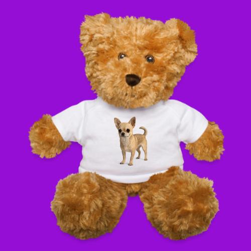 Chihuahua - Teddy Bear