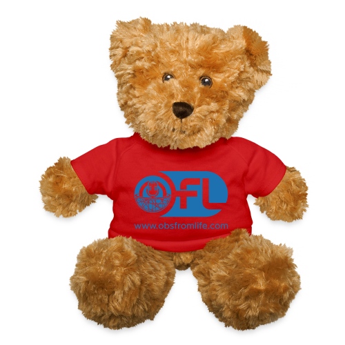 Observations from Life Logo with Web Address - Teddy Bear