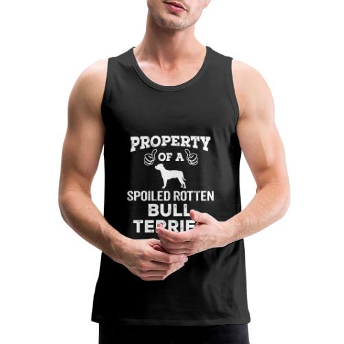 Property Of A Spoiled Rotten Bull Terrier Cool - Men's Premium Tank