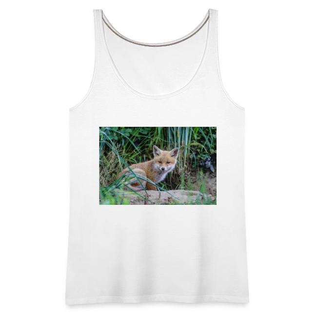 fox