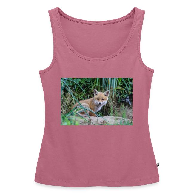 fox