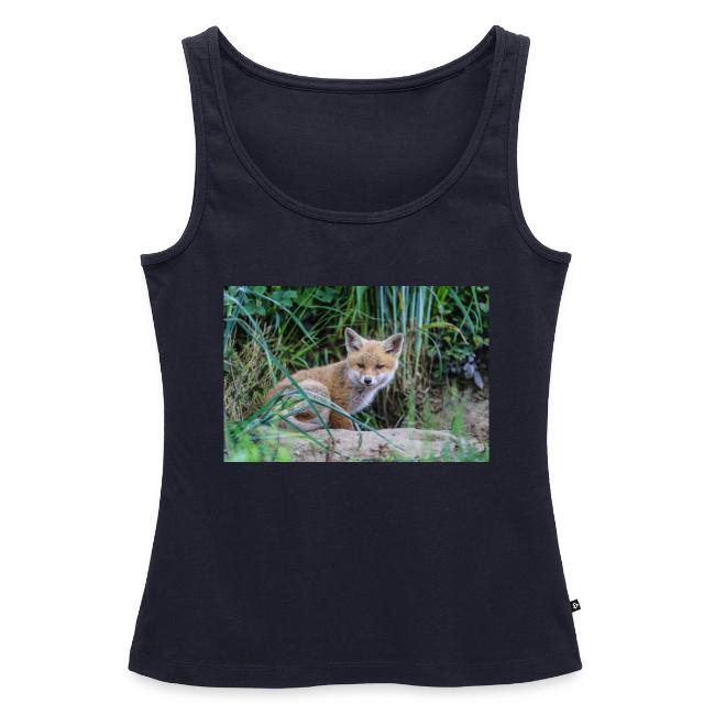 fox