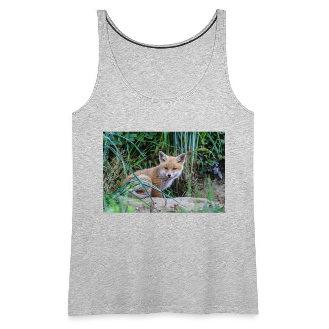 fox