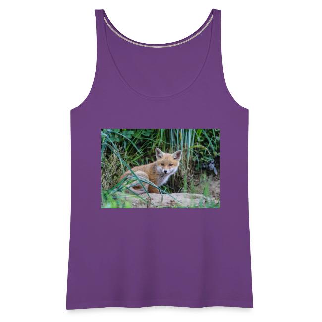 fox