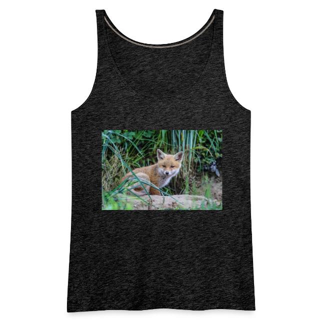 fox