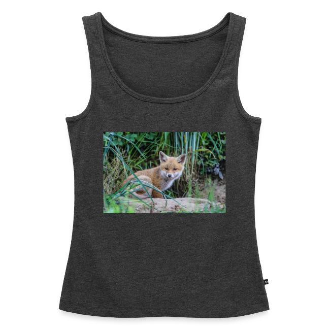 fox