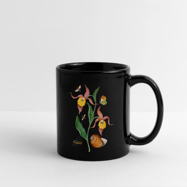 Lady Slipper Orchid