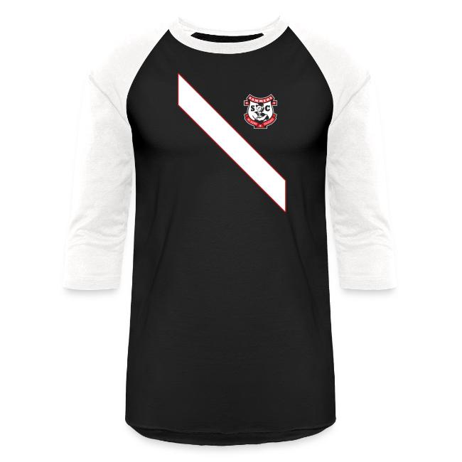 2010 sash png