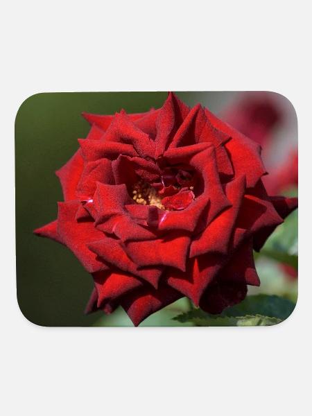 Roses Are Red - Mouse pad Horizontal - white - Front