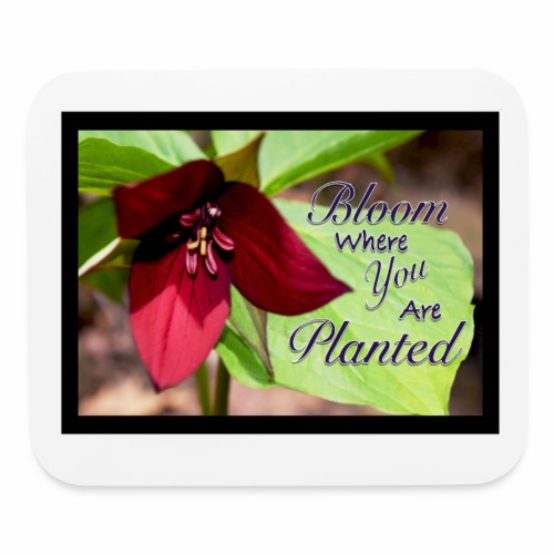 Bloom Where You Are Planted - Mouse pad Horizontal