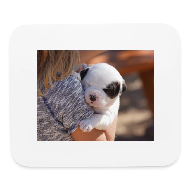 Baby Jordan American Bulldog