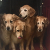 theGoldenRatio4