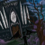 Hellsbane