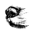 Saichi design