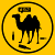 Drunk Camel