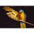 Parrot Mart