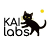 Kai Labs Art