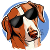 kids-n-dogs