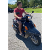 Scootin Sam