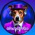 furrydjvibe