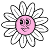 Miss Daisy LK