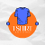 Shirts collections designs