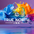 True North Ink