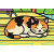 Cat-Engawa