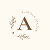 AliNovaStudio